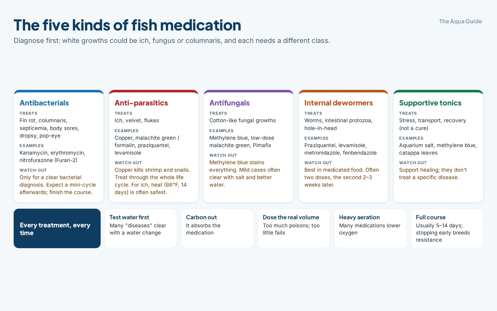 Chart of the five kinds of fish medication: antibacterials, anti-parasitics, antifungals, internal dewormers and supportive tonics, each with what it treats, examples and a caution; plus the rules for every treatment: test water first, remove carbon, dose the real volume, heavy aeration, full course