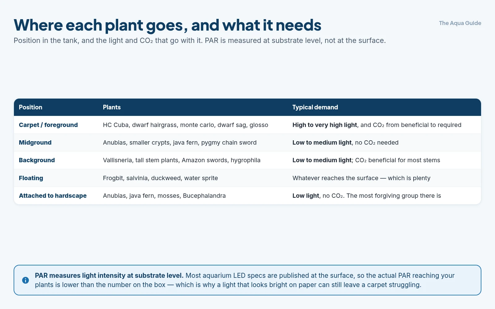 Aquarium plants by position in the tank: carpet and foreground species needing high light and CO2, midground and background plants in low to medium light, floating plants, and the undemanding species attached to hardscape