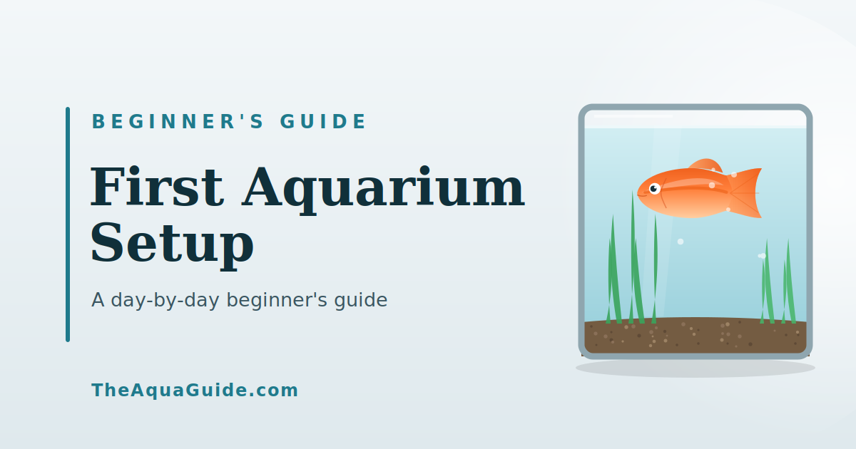 First Aquarium Setup: A Day-by-Day Beginner's Guide