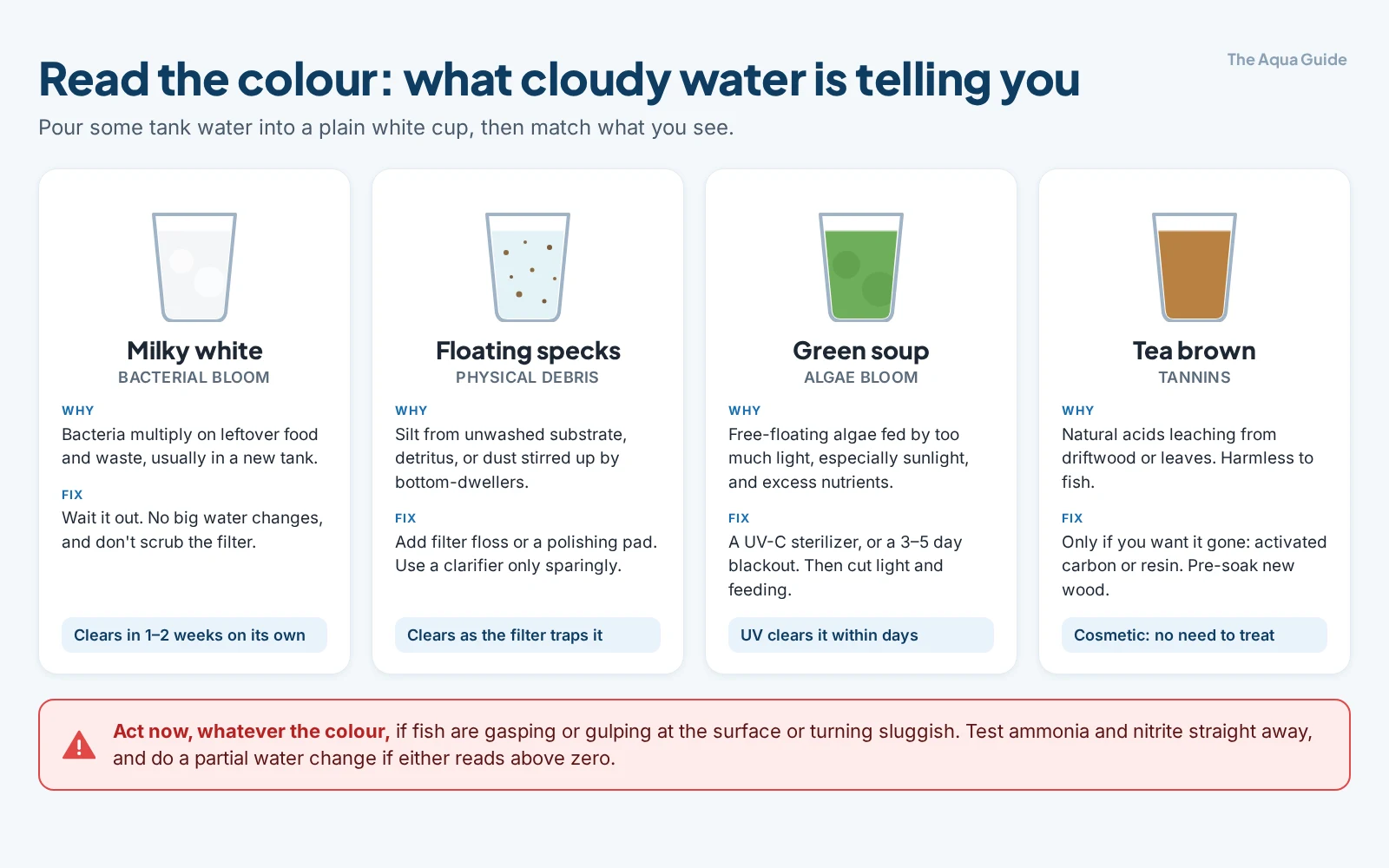 Chart matching four cloudy water colours to their cause and fix: milky white is a bacterial bloom, floating specks are debris, green is an algae bloom, tea brown is tannins