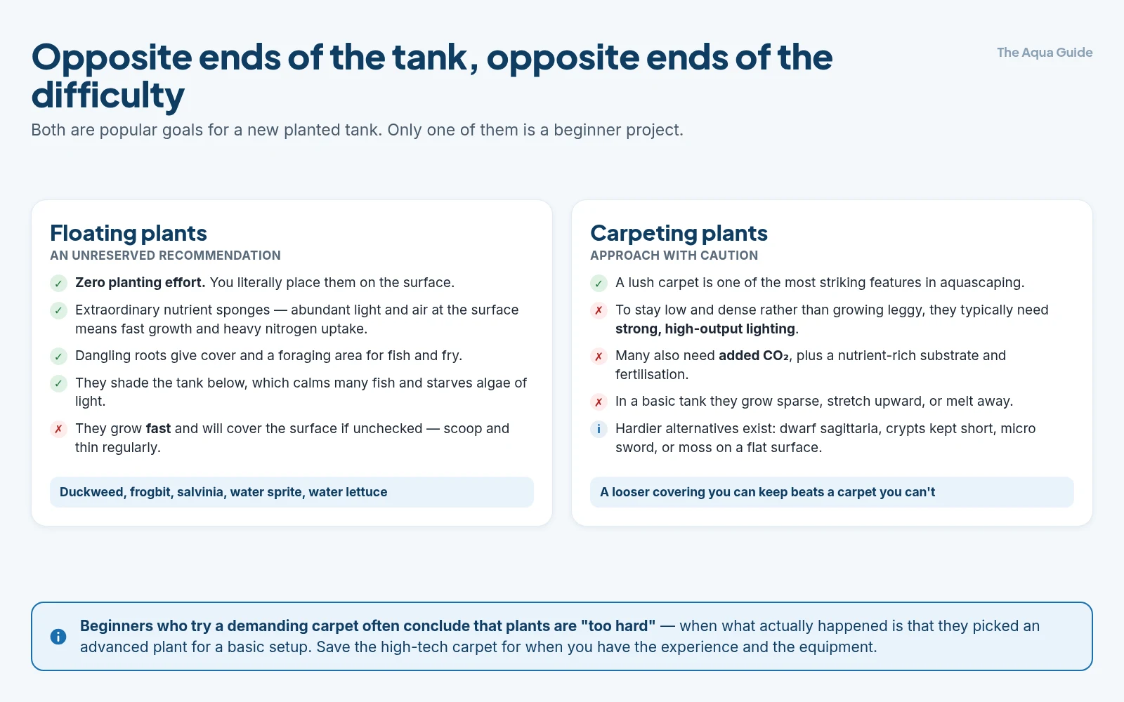 Floating plants compared with carpeting plants: floaters need no planting, soak up nitrogen, shade the tank and only need thinning, while carpets need high-output light, usually added CO₂ and a rich substrate to grow densely