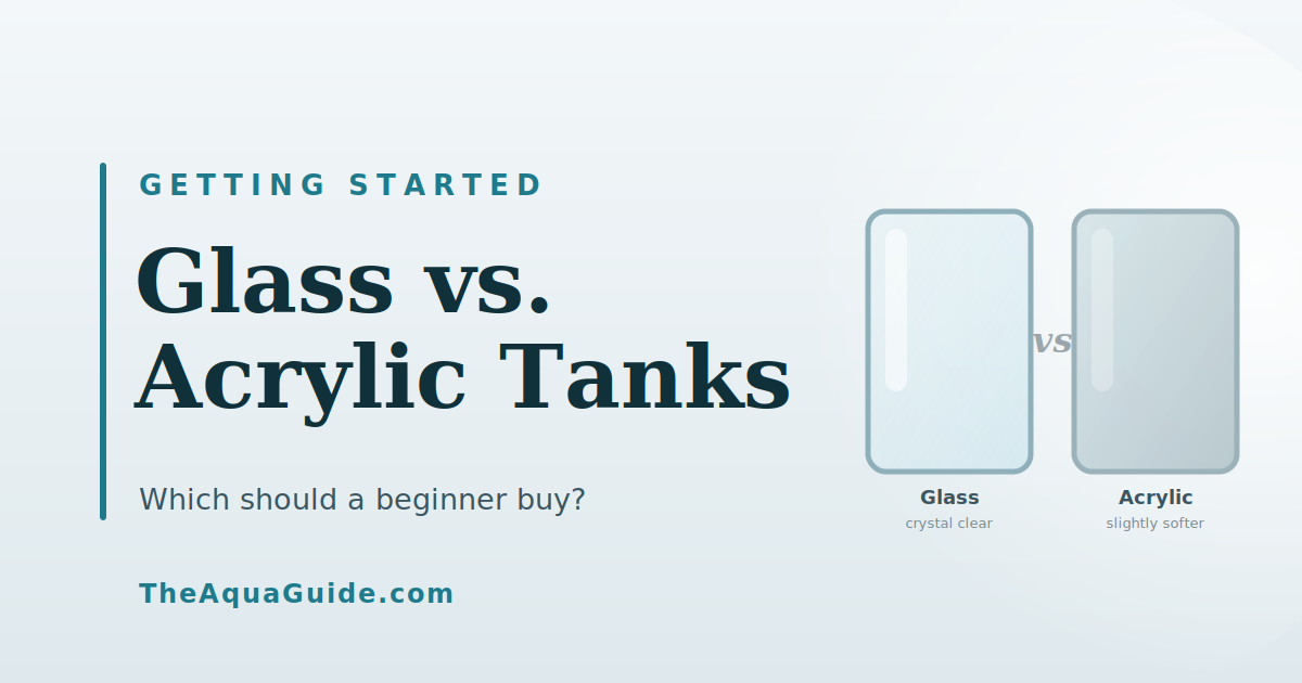 Glass vs. Acrylic: Which Tank Should You Buy?