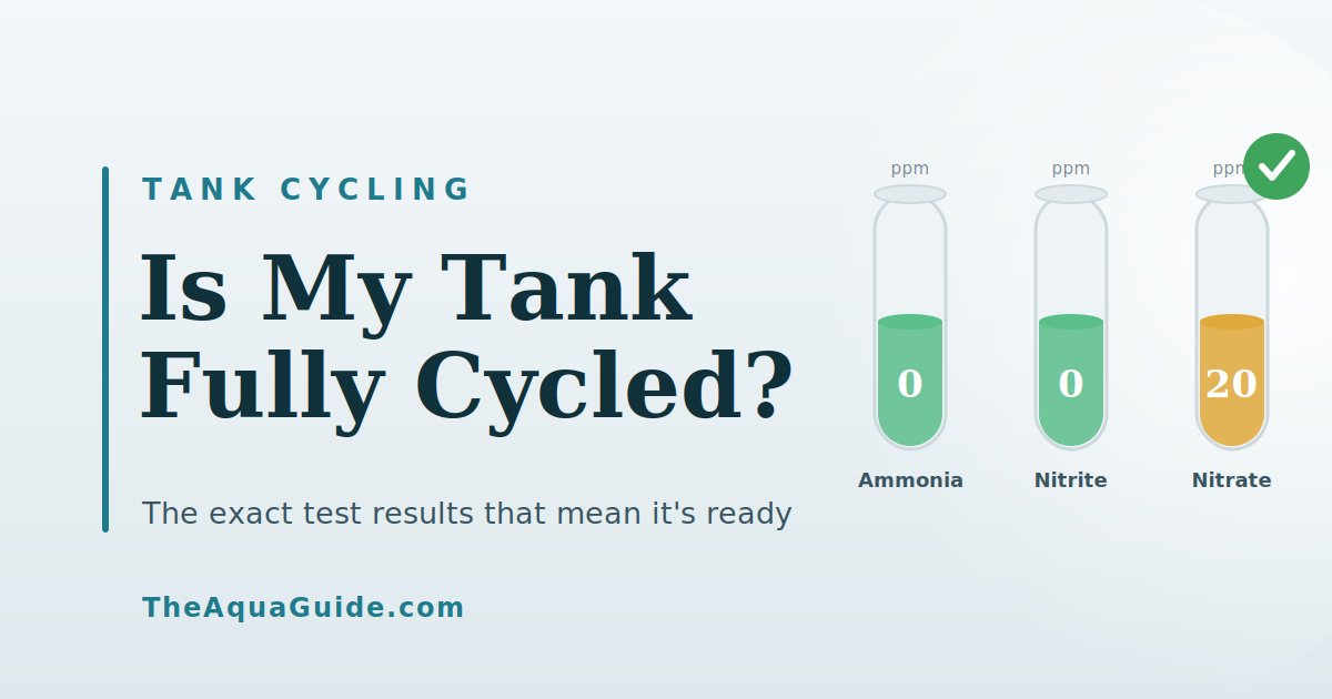 How do I know if my tank is fully cycled?