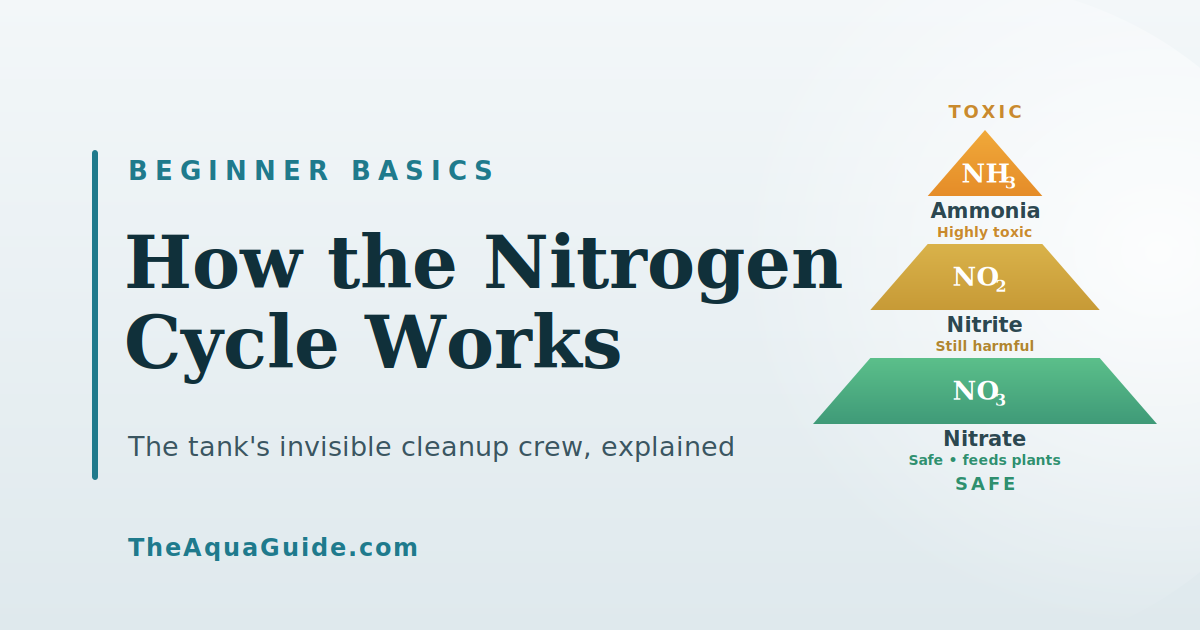 How Does the Aquarium Nitrogen Cycle Work? A Beginner's Guide