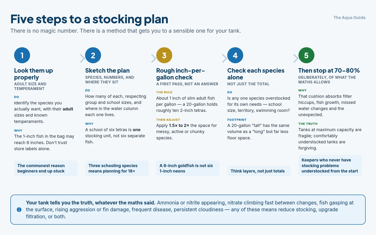Five steps to a stocking plan: look up adult sizes, sketch which species and how many, do a rough inch-per-gallon check with a generosity multiplier, check no single species is overstocked, then deliberately stop at 70 to 80 percent of what the maths allows