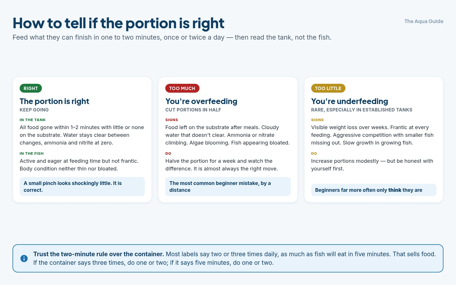 Three ways to read the portion you are feeding: the signs that it is right, the signs of overfeeding such as food on the substrate and cloudy water, and the rarer signs of underfeeding such as weight loss over weeks