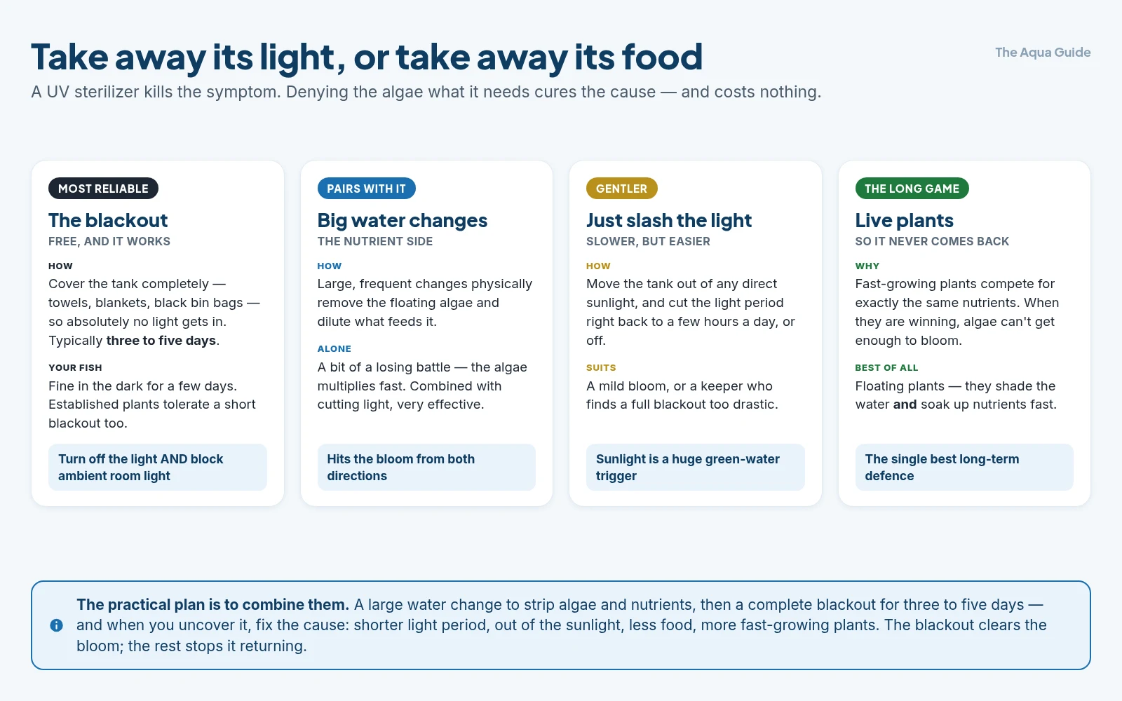 Four ways to clear green water without a UV sterilizer: a complete blackout for three to five days, large water changes, dramatically reduced lighting, and fast-growing live plants as the long-term fix