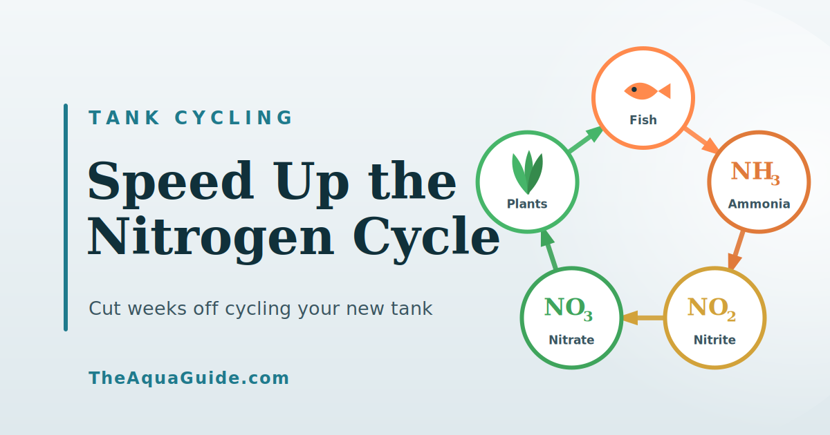 How to Speed Up the Nitrogen Cycle in Your Aquarium