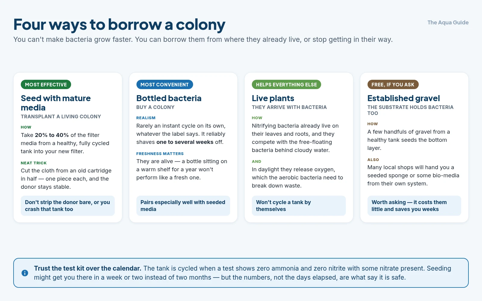 Four ways to shorten a nitrogen cycle, ranked: seeding the filter with mature media, bottled nitrifying bacteria, live plants, and established gravel from a healthy tank
