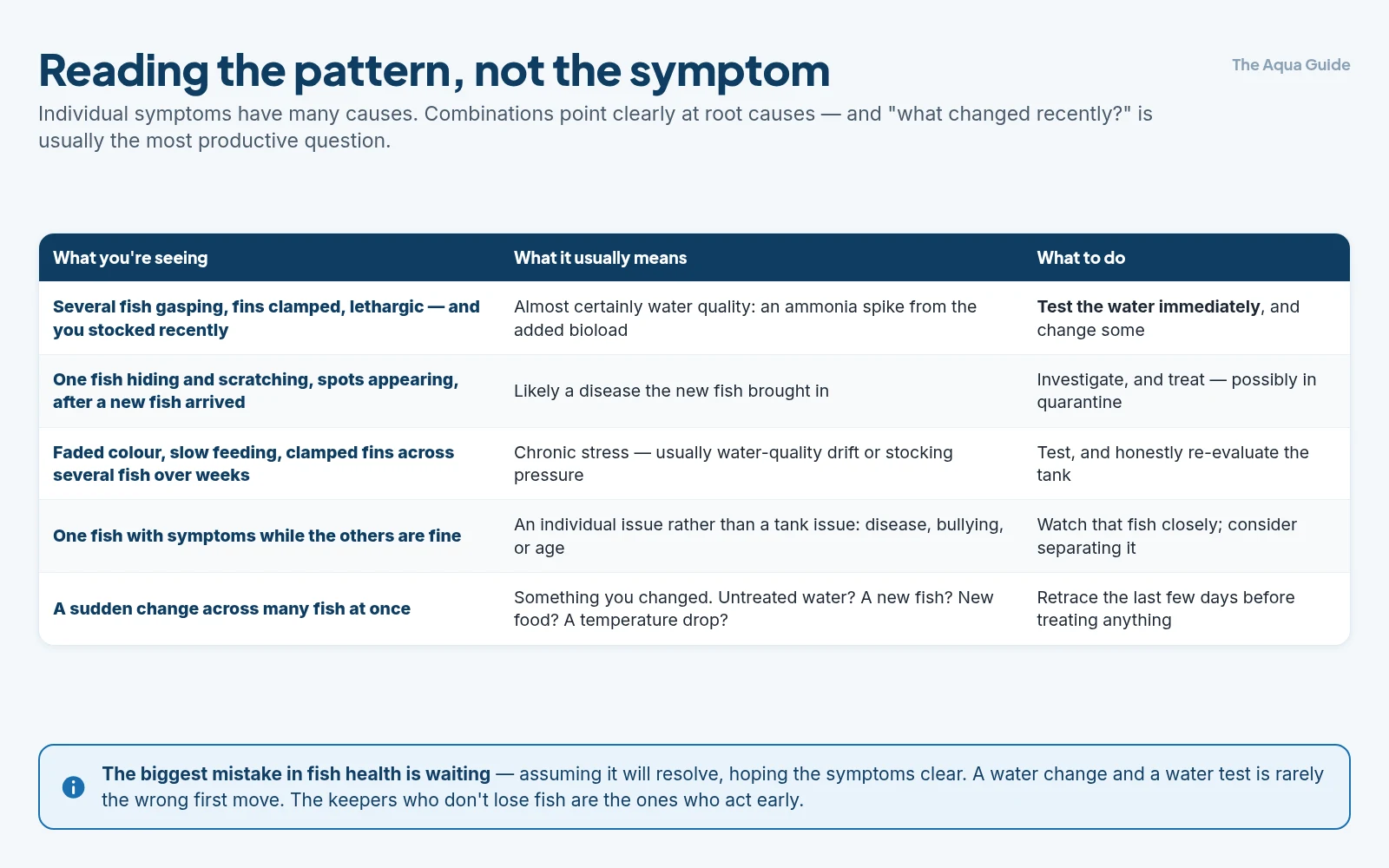 Five patterns of fish symptoms and what each one points at: several fish gasping after stocking means water quality, one fish scratching after a new arrival means disease, faded colour over weeks means chronic stress, one fish alone means an individual problem, and a sudden change across many fish means something you changed