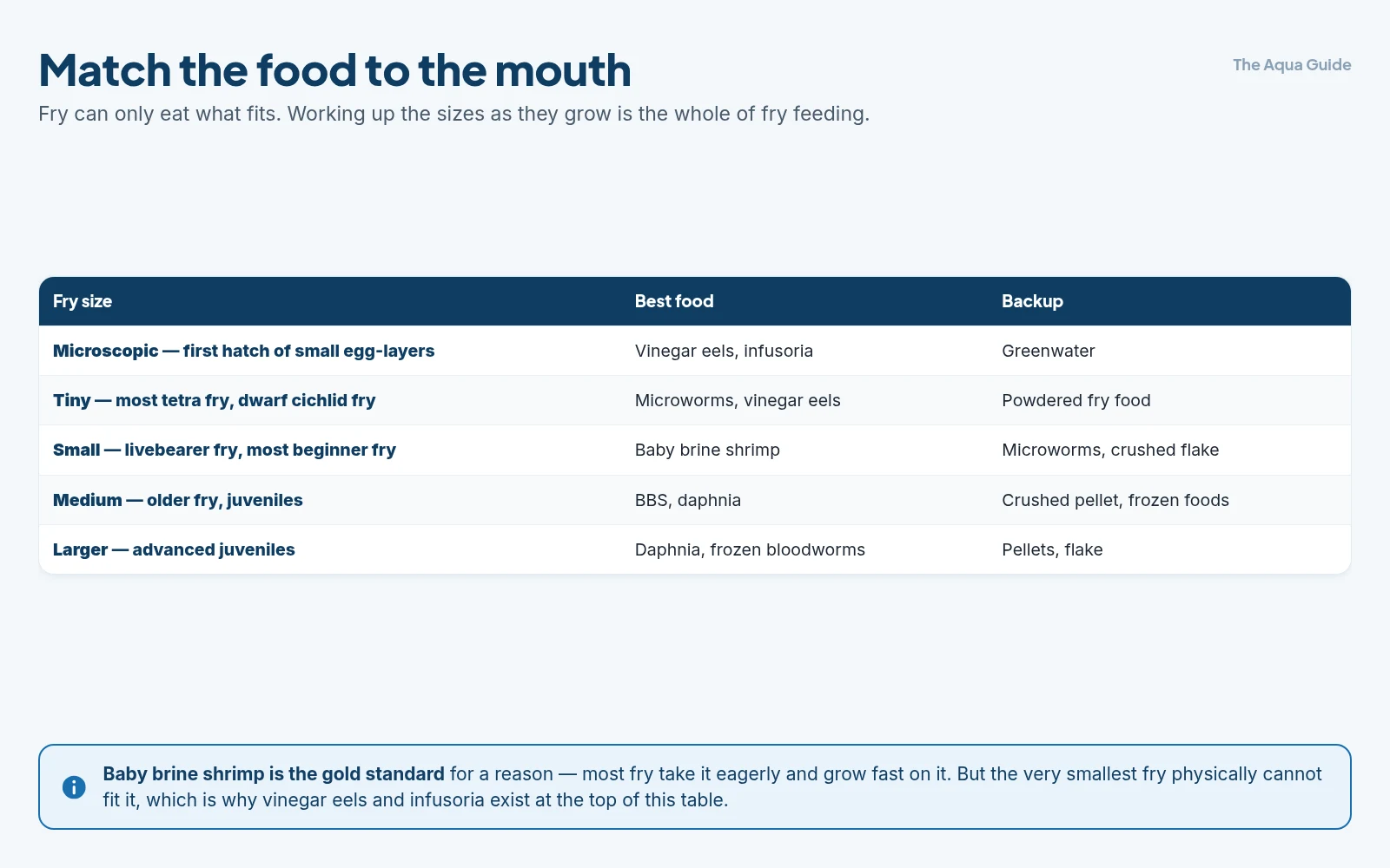 Fry foods matched to fry size: vinegar eels and infusoria for microscopic fry, microworms for tiny fry, baby brine shrimp for small fry, daphnia for medium juveniles, and frozen bloodworms for larger ones