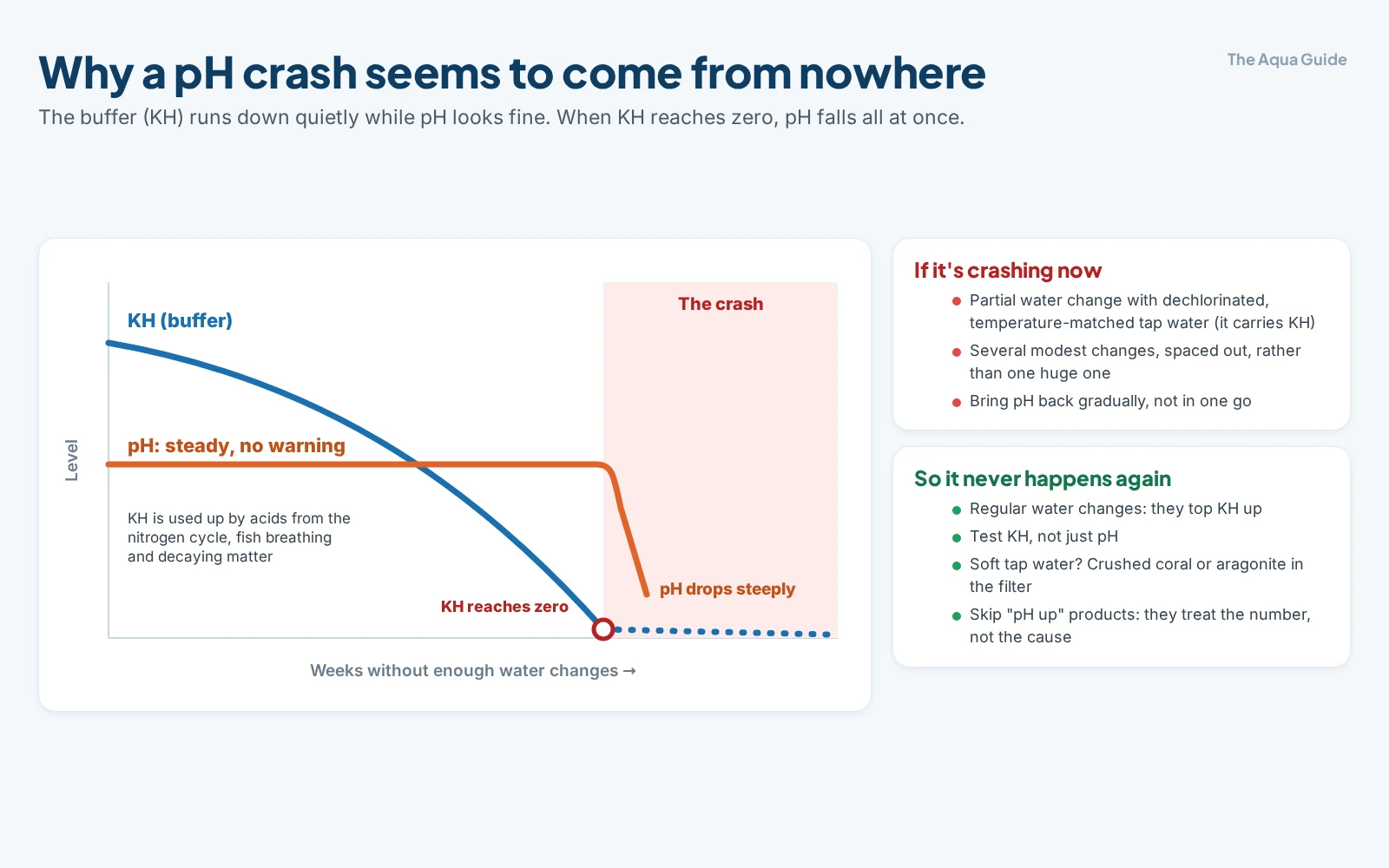 Chart of a pH crash: KH, the buffer, falls steadily over weeks while pH stays flat; when KH reaches zero, pH drops steeply. Fix it now with gradual partial water changes; prevent it with regular water changes, testing KH, and crushed coral for soft water