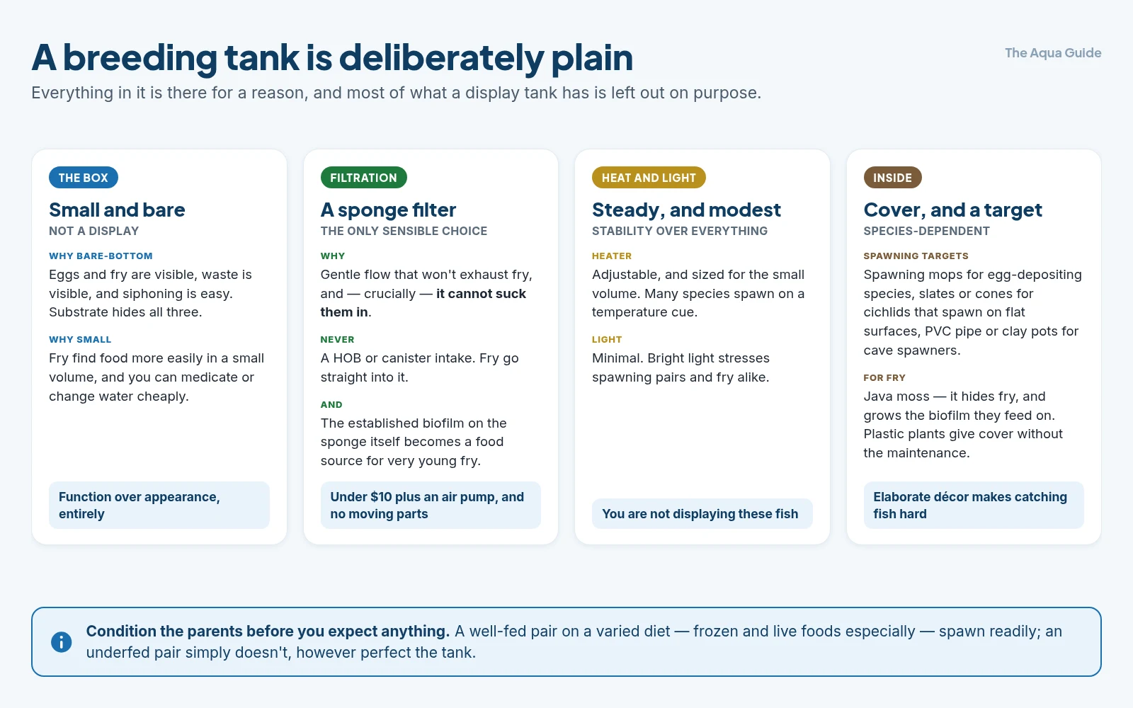 What a breeding tank needs: a small bare-bottom tank, a sponge filter that cannot suck in fry, a steady adjustable heater with minimal lighting, and species-appropriate spawning cover