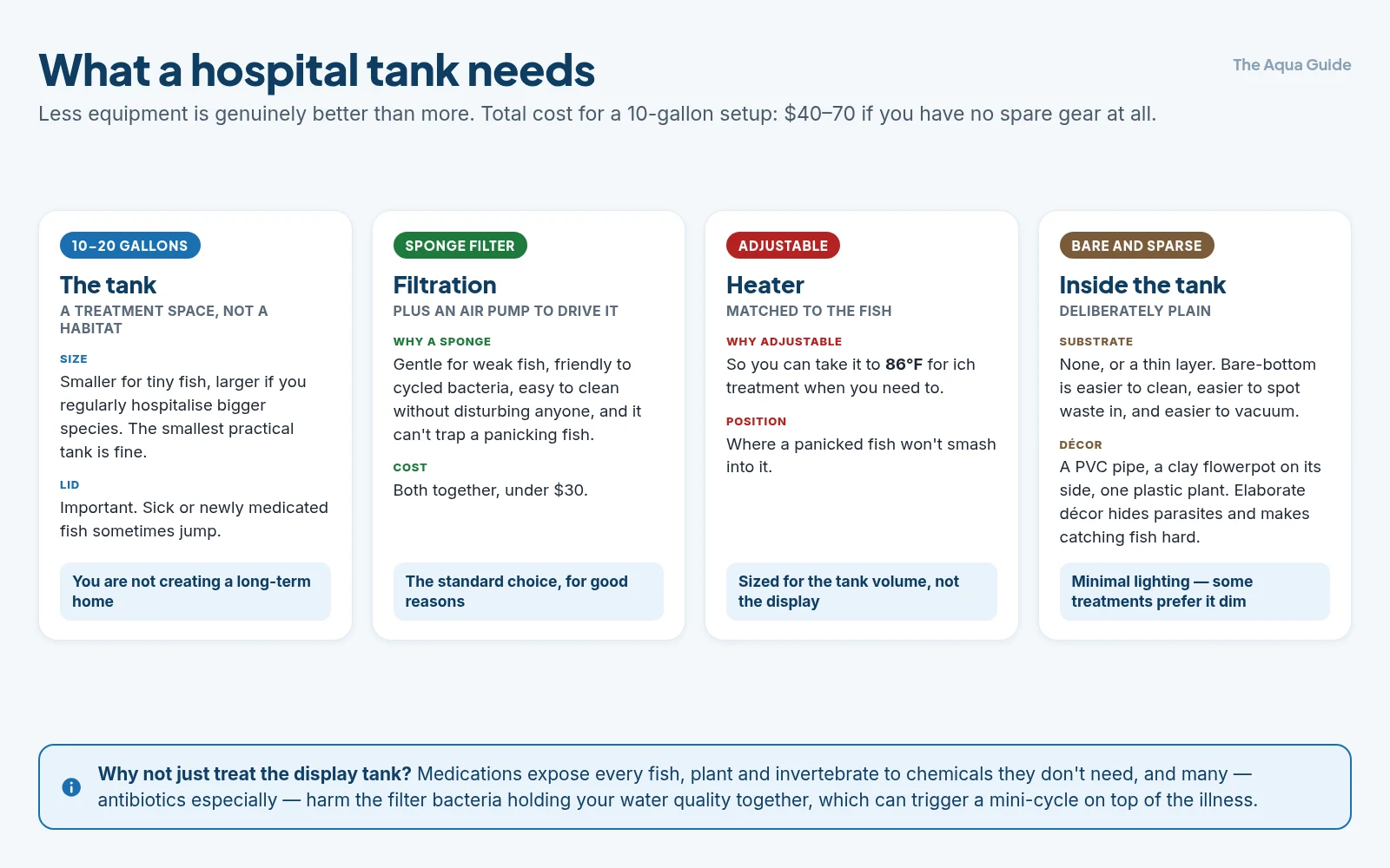 What a hospital tank needs: a 10 to 20 gallon tank with a lid, a sponge filter driven by an air pump, an adjustable heater that can reach 86 degrees for ich, and a deliberately bare bottom with sparse decor