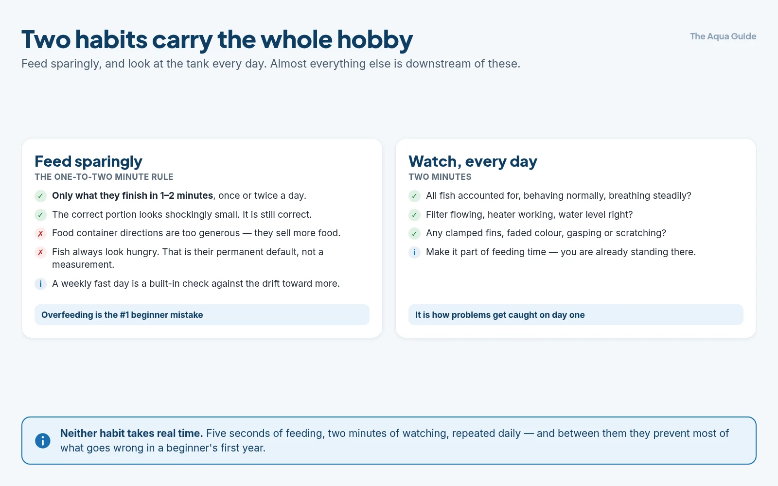 The two habits that matter most in fishkeeping: feeding only what fish finish in one to two minutes, and spending two minutes a day watching the fish and checking the equipment