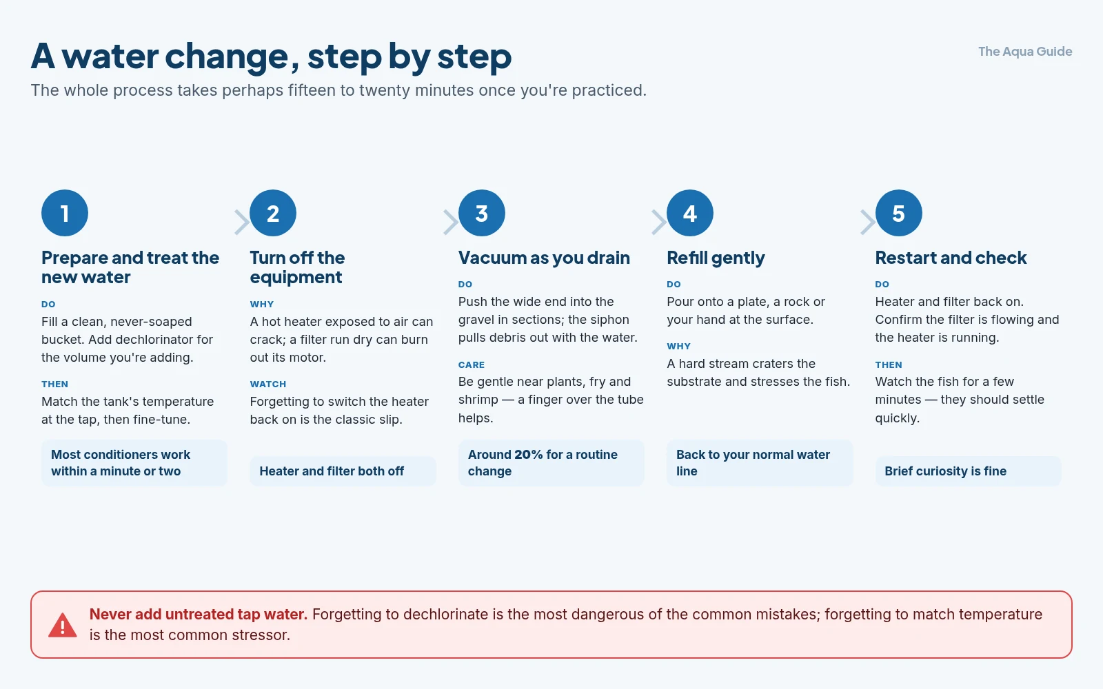 The five steps of a water change: prepare and treat the new water, turn off the heater and filter, vacuum the substrate while draining about 20%, refill gently, then restart the equipment and check the fish