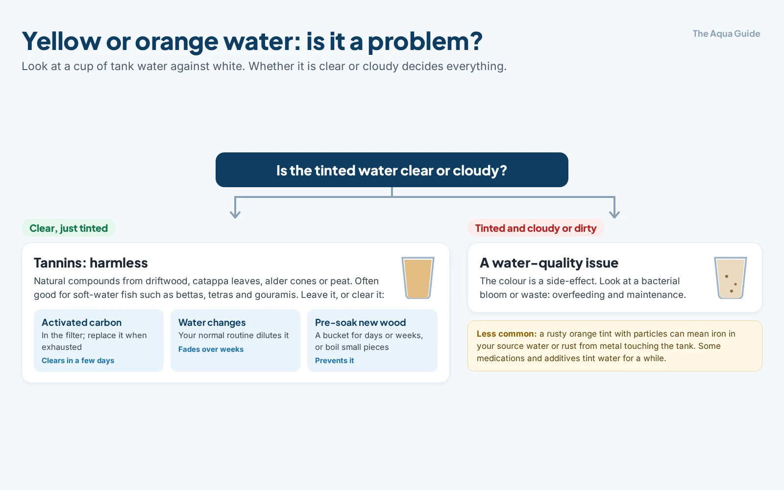 Decision chart for yellow or orange aquarium water: clear but tinted water is harmless tannins, cleared by activated carbon in a few days, water changes over weeks, or pre-soaking new wood; tinted and cloudy water is a water-quality issue; a rusty tint with particles can mean iron or rust
