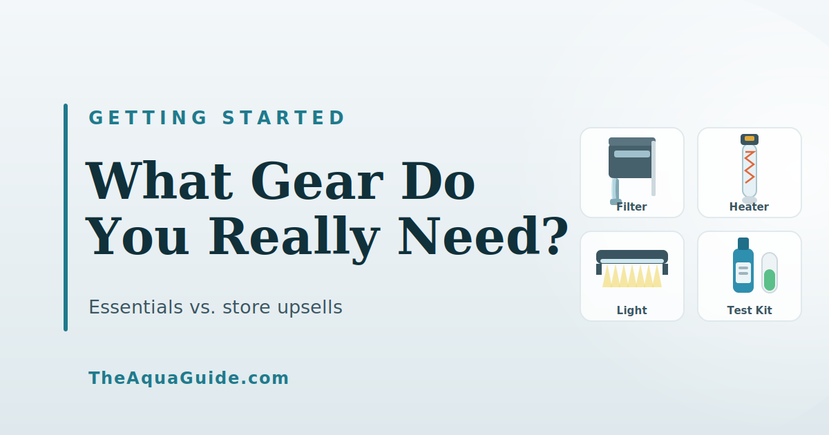 What Equipment Do You Actually Need (vs. Store Upsells)?