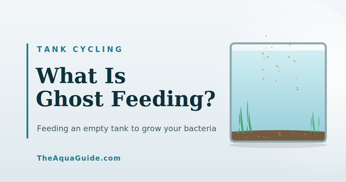 What Is Ghost Feeding, and How Does It Help Cycling?