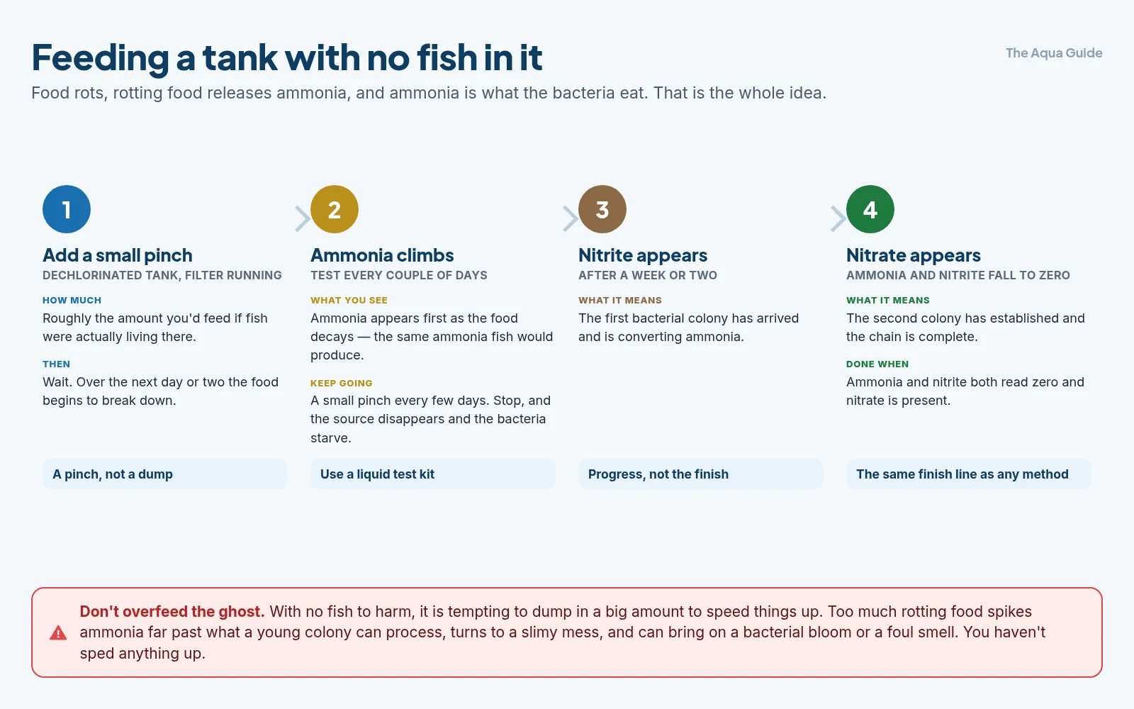 Ghost feeding in four stages: add a small pinch of food to an empty tank, watch ammonia climb, see nitrite appear after a week or two, then nitrate appear as ammonia and nitrite fall to zero