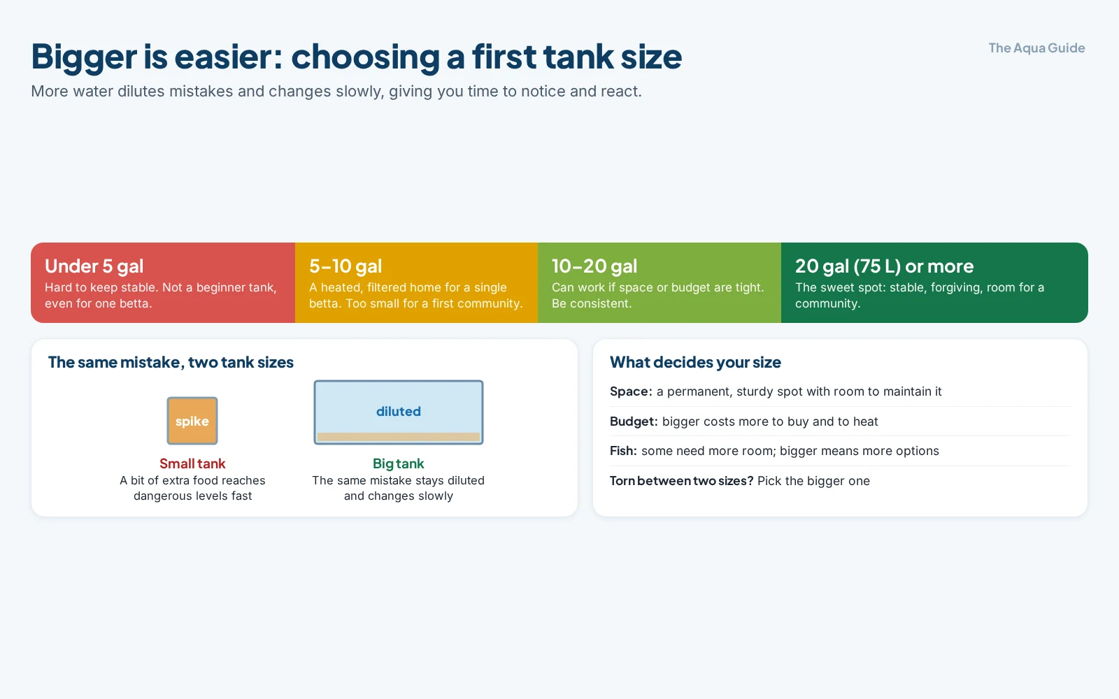 Tank size scale for beginners: under 5 gallons is hard to keep stable; 5 to 10 gallons suits a single betta but is too small for a first community; 10 to 20 gallons can work; 20 gallons (75 litres) or more is the sweet spot, because more water dilutes mistakes
