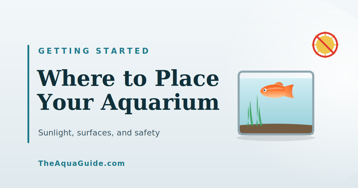 Where to Place Your Aquarium at Home